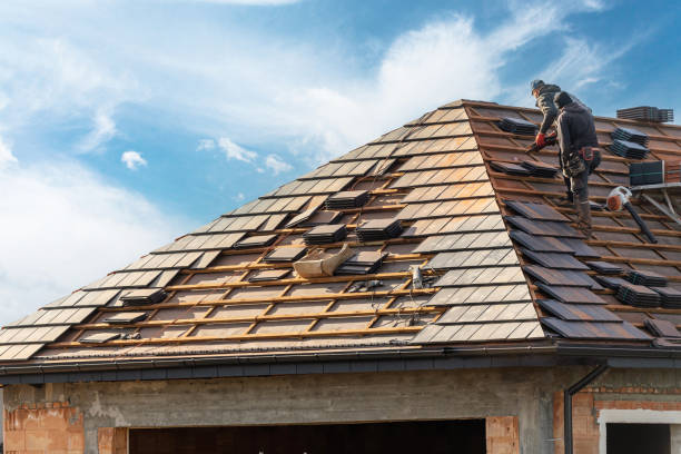 Best Emergency Roof Repair Services  in , MN